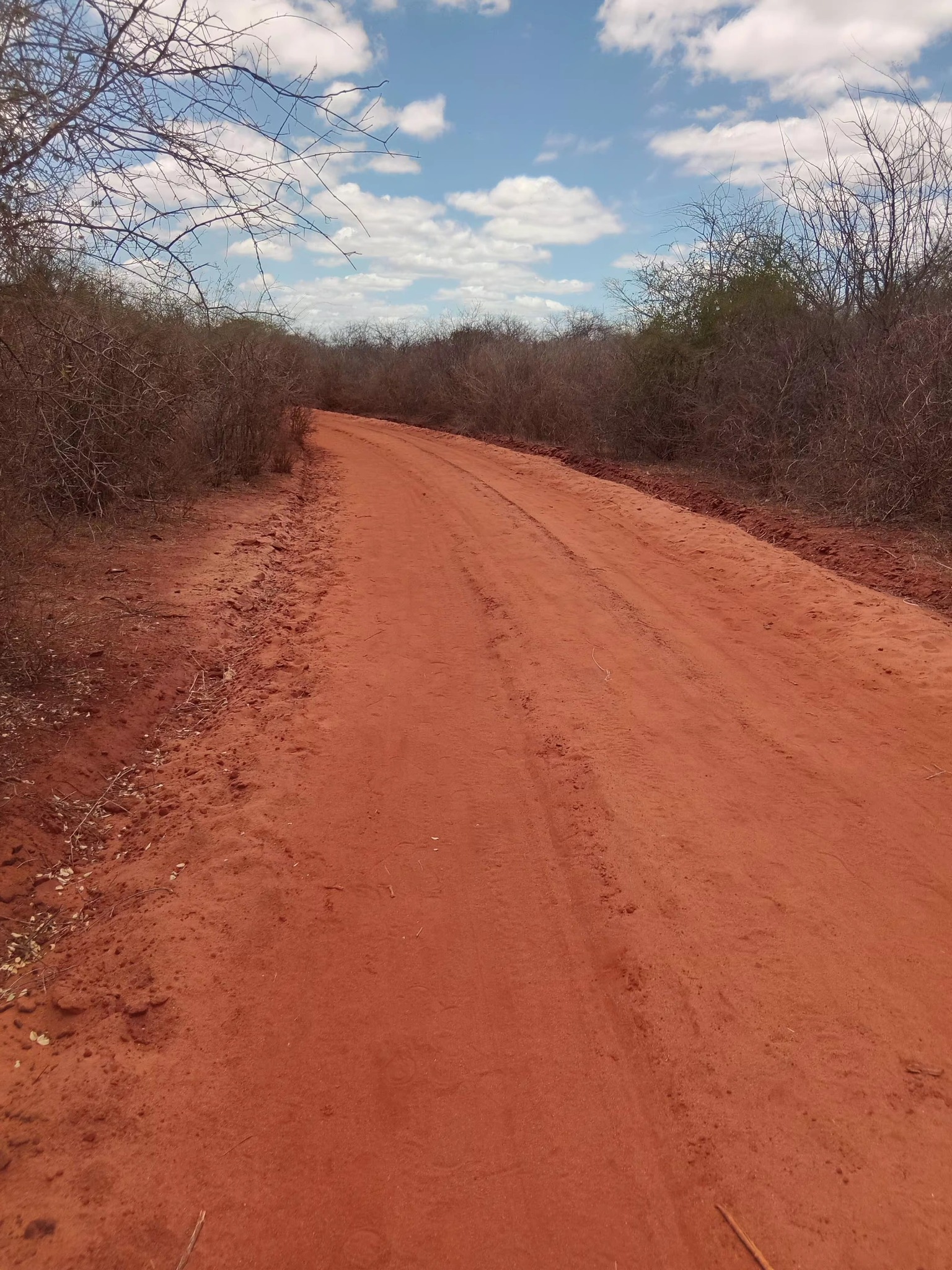 Kaluluini – Mekyui Road Improvement