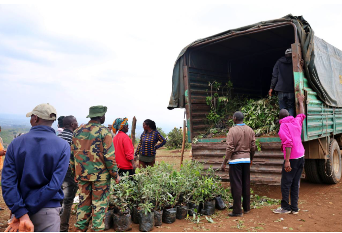 Growing a Greener Tomorrow