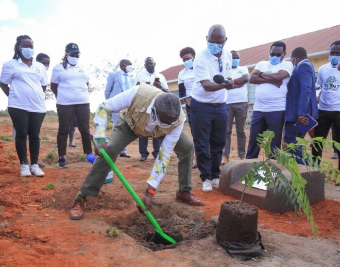 New bid to improve forest cover as lobby plants trees in Homa Bay