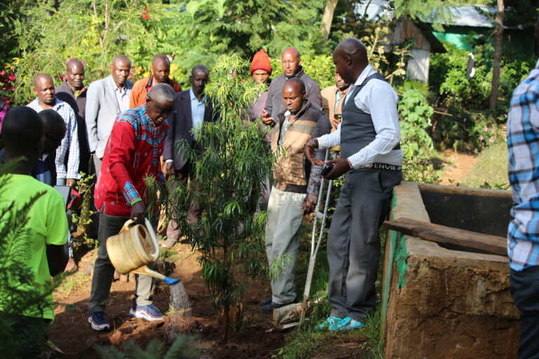 Dr Kalua Green GTAP party leader watering plant after planting with other members of the party