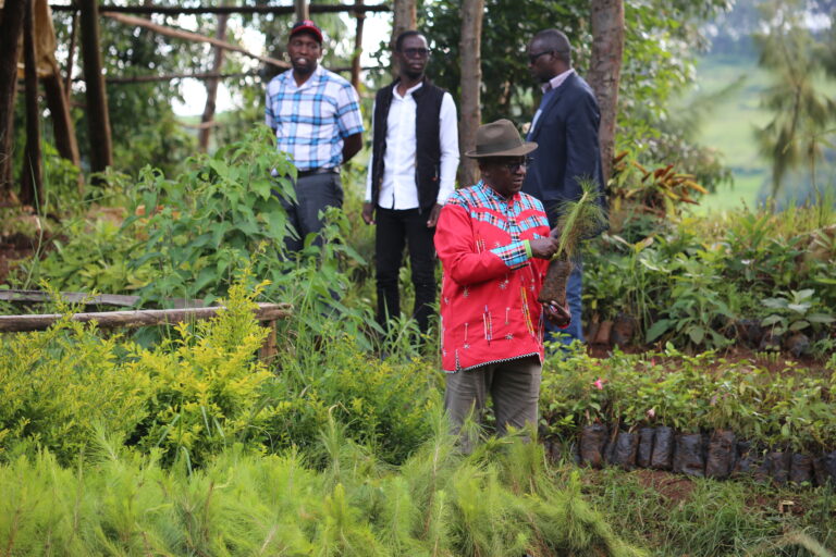 Dr. Kalua Green Narok Circumcision Planting Tree to commemorate